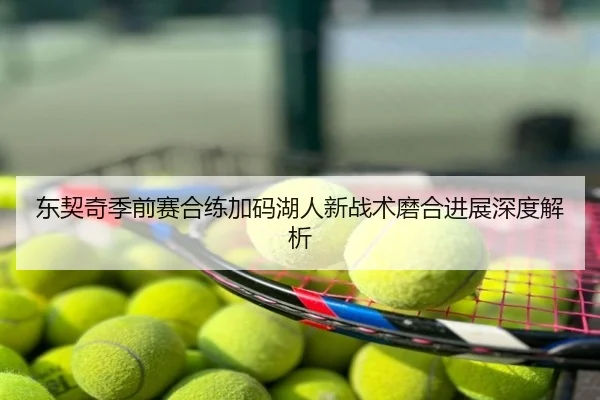 东契奇季前赛合练加码湖人新战术磨合进展深度解析